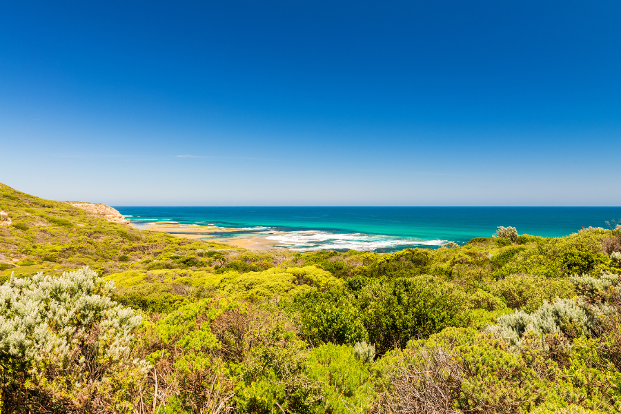 mornington peninsula's dramatic cliffs