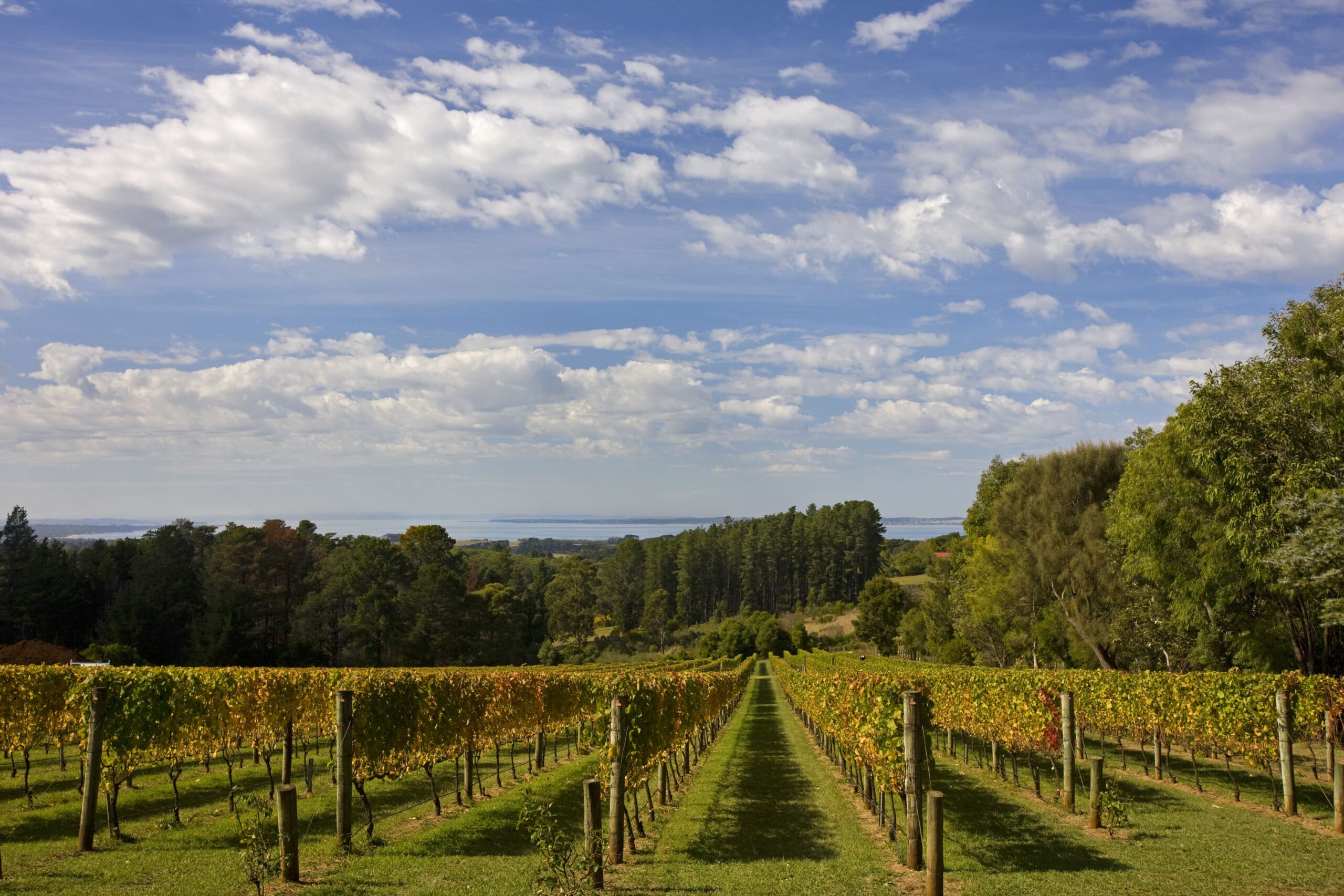 mornington peninsula victoria