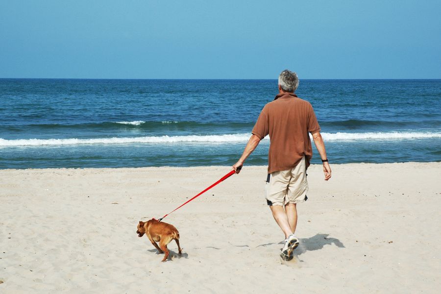 dog walks at Half Moon Bay Beach