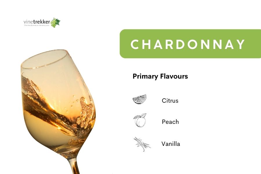 Chardonnay infographic