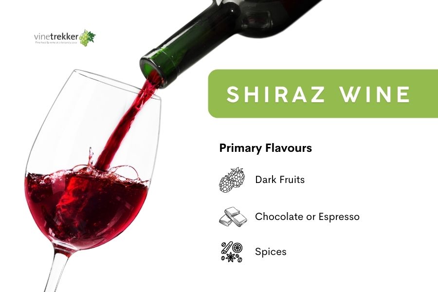 Shiraz wine infographic