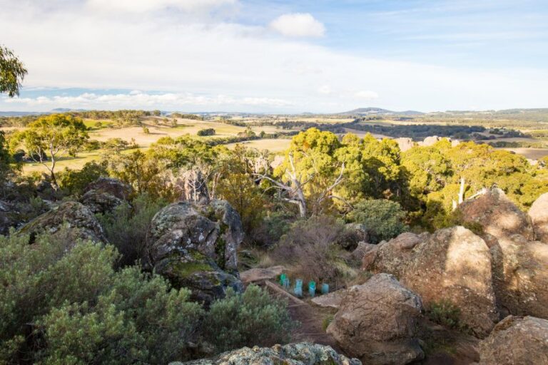 Best Things to Do in Macedon Ranges (Your 2025 Guide)