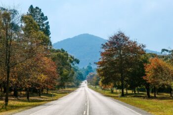 Best Things to Do in Macedon Ranges (Your 2025 Guide)