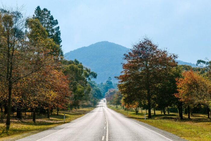 Macedon Ranges Spring Best Things to Do in Macedon Ranges (Your 2025 Guide)